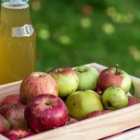 Apartma Lesjak - Pobeg V Naravo * Mozirje