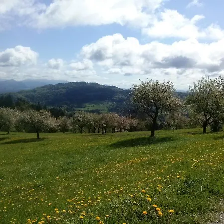 Appartement Apartma Lesjak - Pobeg V Naravo Mozirje