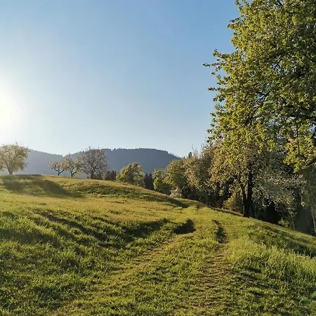 Apartma Lesjak - Pobeg V Naravo Mozirje