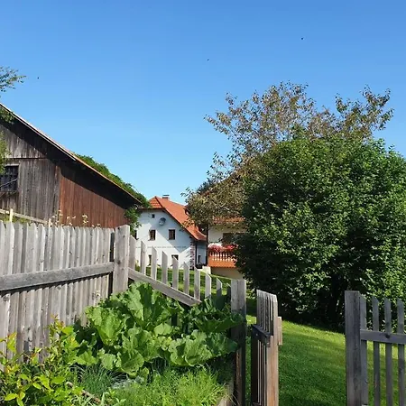 Apartamento Apartma Lesjak - Pobeg V Naravo Mozirje