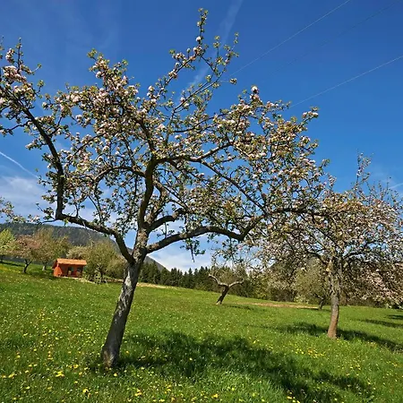 Apartma Lesjak - Pobeg V Naravo Apartamento