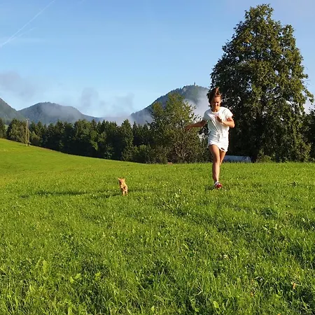 Apartma Lesjak - Pobeg V Naravo Mozirje