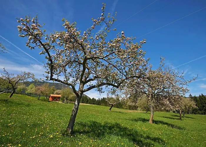 Apartma Lesjak - Pobeg V Naravo アパート