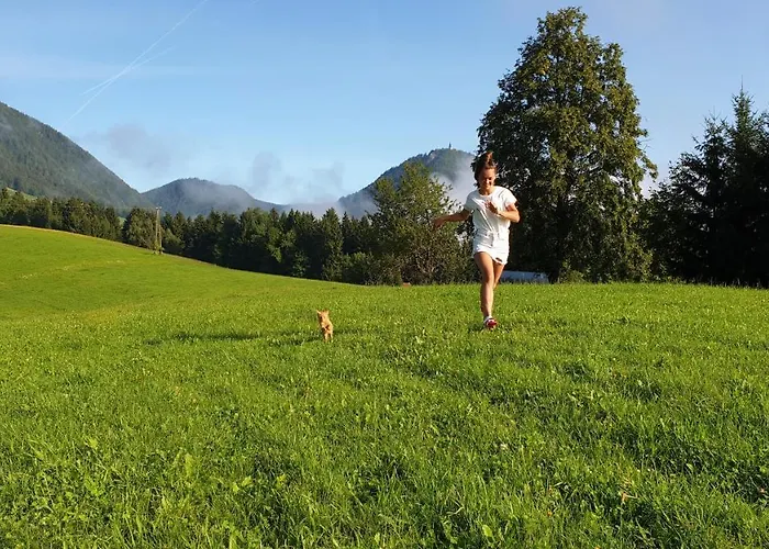 Apartma Lesjak - Pobeg V Naravo モジリェ